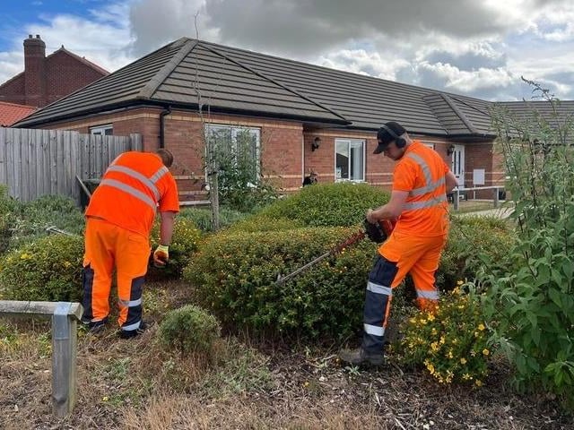 Council staff helped cut back vegetation.