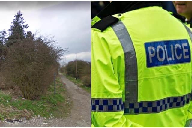 Police and a bomb squad swooped on woodland in Clipstone.