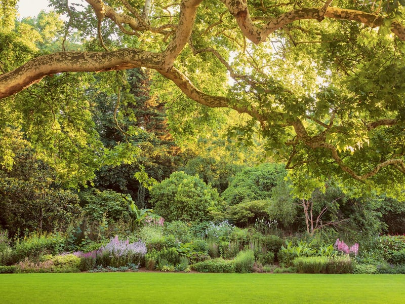 The garden’s 156 m (523 ft) long Herbaceous Border.