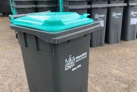 The bins should be delivered to residents this month and collections will start in April.