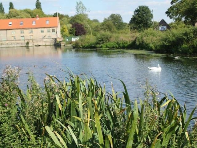 Now the weather is getting better, it's an ideal time to start exploring Mansfield's wonderful range of nature reserves. There are nine in total, including The Carrs in Warsop (pictured), and all have special habitats, such as woodland, heathland, wetland and grassland. They are also home to a variety of wildlife, including bats, birds and insects. Find out more about them on Mansfield District Council's website.