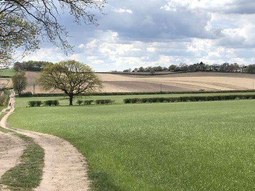 This is a lovely countryside trail taking in a mix of woodlands and farmlands as you make your way through Thieves Wood, Tabramhill Wood, and the fields between Blidworth and Ravenshead. The route also passes Newstead Abbey. Rated: Hard.