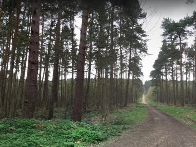 Blidworth Bottoms is another popular walking area that people can look forward to exploring over the next Bank Holiday.