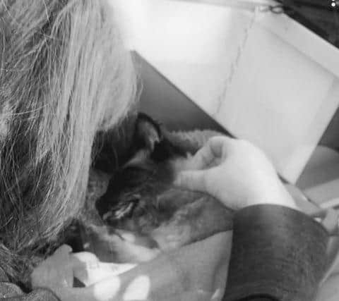 Helen pictured with Belle