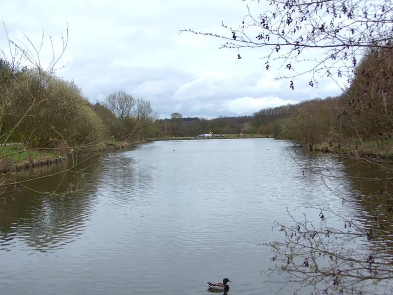 This is a great area for a variety of activities including running, walking and mountain bike riding. There is a dense forest of tall trees and sturdy paths with plenty of paths to explore. Rated: Moderate