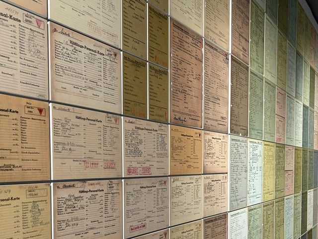 Individual camp record cards