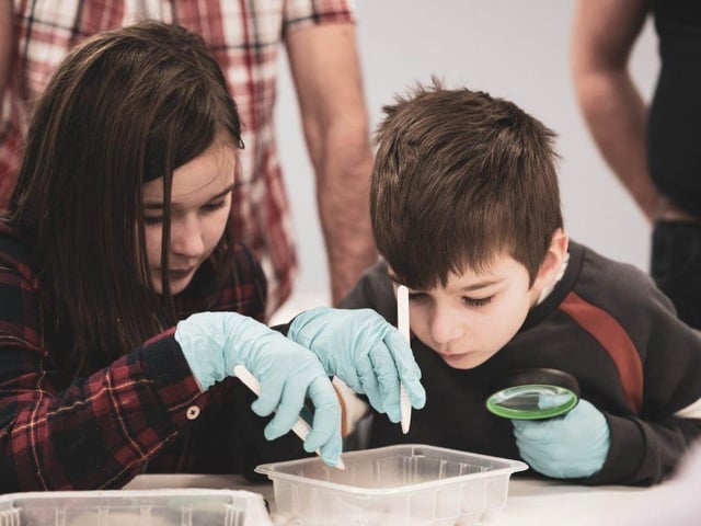 A fascinating workshop at Sutton Library on Monday (1 pm to 4 pm) explores the different parts of the brain and what we use them for. Activities for children will include making 'brain hats', using playdough and a quiz. 'Lobes Of The Brain', presented by neuroscience students at Nottingham University, is part of the Nottingham Festival of Science and Curiosity, so please check its website for ticket availability.