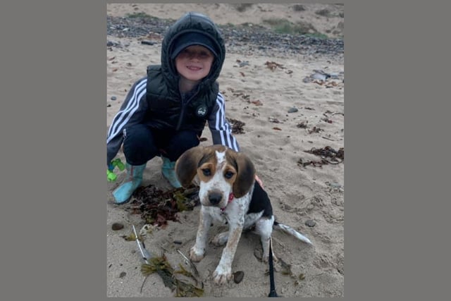 Katie Hall said: This is the new member of our family everyone meet Kiki the beagle she’s 13 weeks old. She’s settled in so well, her and my son are best friends they inseparable.