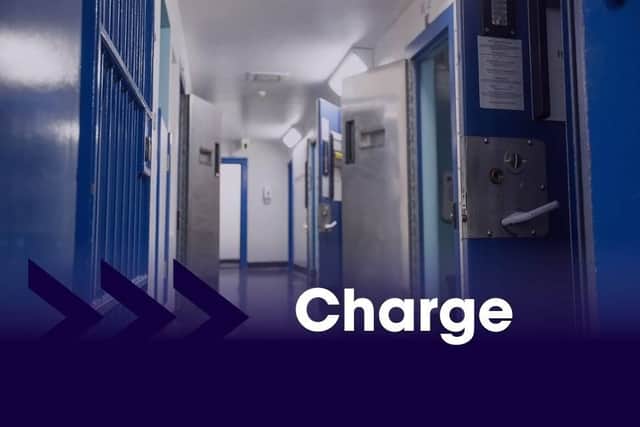 Detectives investigating a serious assault and an attempted robbery have placed a suspect before the courts.
