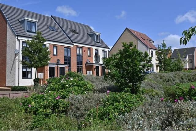 Persimmon Homes has donated 1,550 trees for 50 years in celebration of The Queen’s life