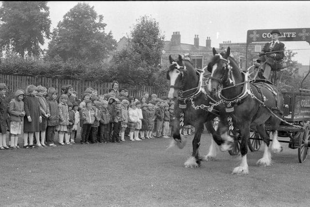 St Edmunds children pictured with the Coalite horses in the 80s