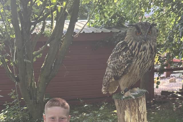 Getting up close to the birds is possible at the end of each talk.