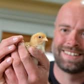 Marketing manager Anthony Moore, AKA Farmer Ant, holding one of the new baby chicks
