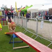 Dog owners can enter their pets at the Nottinghamshire County Show dog show this year.