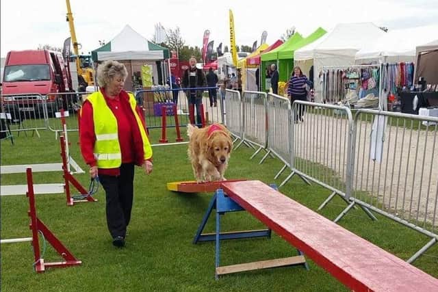 Dog owners can enter their pets at the Nottinghamshire County Show dog show this year.