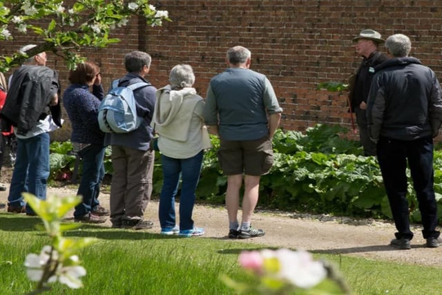 Once the Bank Holiday weekend is over, you might be ready for a relaxing stroll. So why not join the monthly guided walk and talk through the walled kitchen garden at Clumber Park next Tuesday afternoon? Gain an insight into the history of the garden as you learn about its 450-foot herbaceous borders, its collection of apple trees and the National Trust's longest glasshouse.