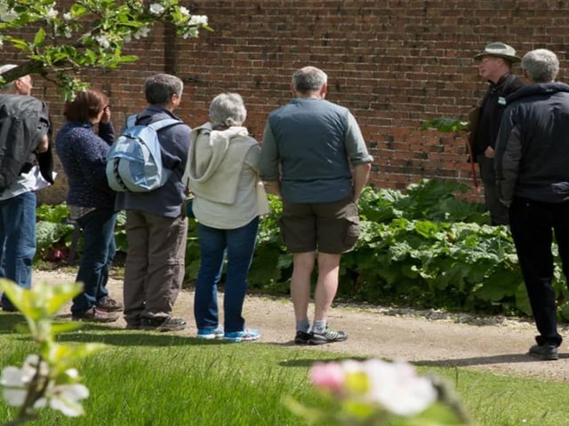 Once the Bank Holiday weekend is over, you might be ready for a relaxing stroll. So why not join the monthly guided walk and talk through the walled kitchen garden at Clumber Park next Tuesday afternoon? Gain an insight into the history of the garden as you learn about its 450-foot herbaceous borders, its collection of apple trees and the National Trust's longest glasshouse.