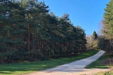 Sherwood Pines is a popular choice for a Boxing Day walk in 2025, offering extensive trails and family activities. The forest features three main waymarked walking trails suitable for a winter stroll: Archer’s Stroll: A short, 1.2 km (0.75 mile) easy trail perfect for families and accessible for pushchairs and wheelchairs. Castle Walk: A moderate 4.5 km (2.8 mile) circular route through various woodland landscapes. Ranger’s Path: The longest trail at 7.2 km (4.5 miles), which takes you into the quieter, more secluded areas of the pine and heathland.