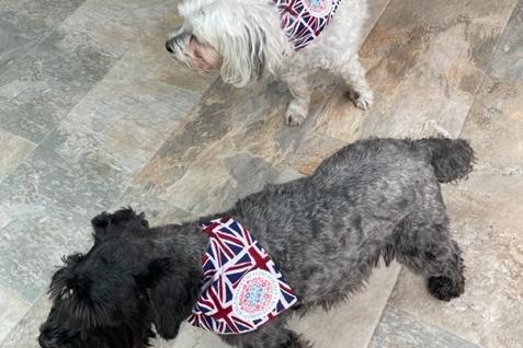 Mansfield resident Christine Bacon sent in this photo of ‘fur neighbours' Betty and Bella all dressed up and ready to celebrate on Coronation Day.