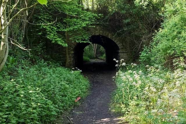 Part of the Gregory Quarry site, off Nottingham Road in Mansfield. (PHOTO BY: Mansfield District Council)