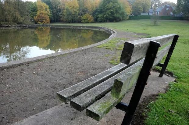 An ambitious scheme to transform Berry Hill Park into a 'destination park' includes new and improved accessible footpaths, a dedicated event space and a new building with a multi-functional space, café, toilets and changing rooms.