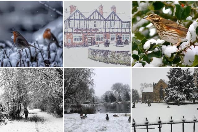 Winter landscapes perfect for seasonal walks.