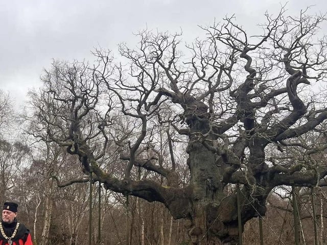 Edwinstowe's Sherwood Forest attracts an estimated 350,000 visitors each year. This historic forest has a 4.4 rating on Google reviews, based on over 1,000 reviews.
