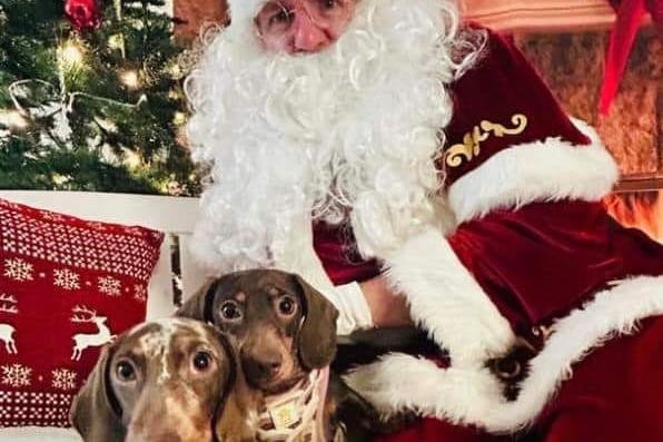 Milly Paige shared this adorable photo of her dogs with Santa.