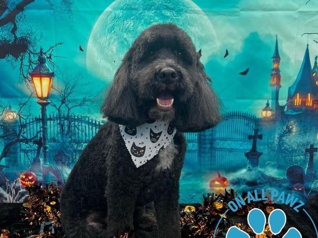 Another happy customer, feeling spooky!