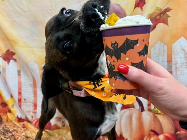 Getting stuck in to a tasty party treat.