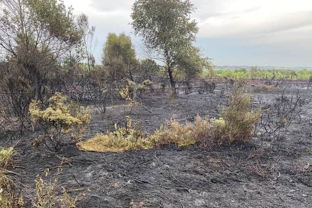 The aftermath of a recent grass fire in Rainworth, which saw wildlife habitats destroyed.