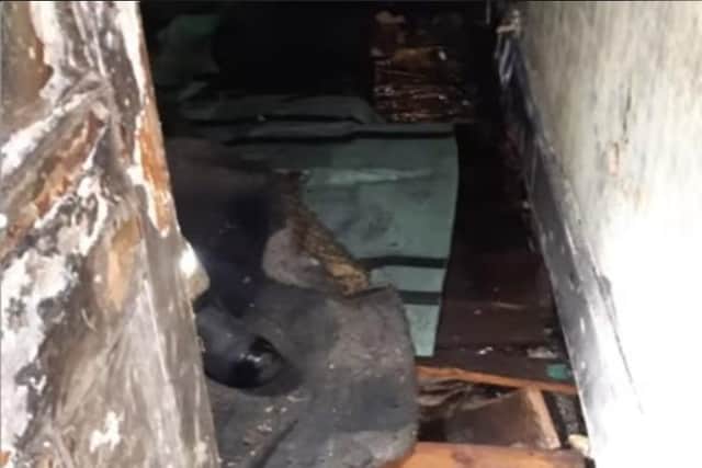 Fire damage in the derelict building.