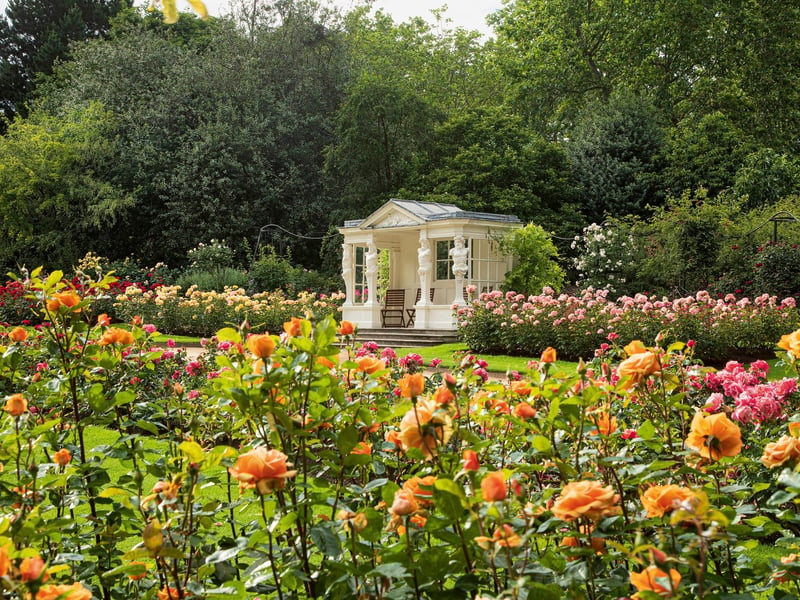 The Rose Garden at Buckingham Palace.