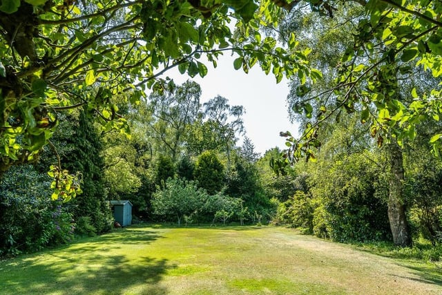 One tree-lined area of the rear garden has the potential to be turned into tennis courts or even an outdoor swimming pool. Alternatively, it can be left as an open space for the family to enjoy.