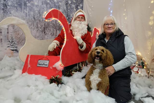 Santa Paws will be visiting Jerry Green Dog Rescue in Blidworth this Christmas