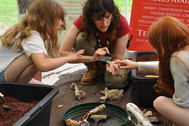 Ever fancied being a palaeontologist? Well, now's your chance because an event running all next week (Monday to Sunday) at the Creswell Crags Museum and Heritage Centre, Welbeck shows how palaeontologists learn about Ice Age animals just by examining their bones. The 'Stone Age Safari' sessions are suitable for the whole family and end with the chance to re-build a real animal skeleton and use your newly-acquired knowledge to work out what animal it is.