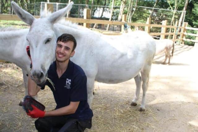 Portland College has won the 2026 Natspec Award for developing donkey assistive therapy to support learners. Photo: Submitted