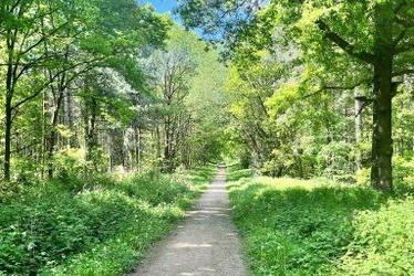 Begin this walk at the Swallows and walk along Sherwood Street briefly before finding the dirt road that takes you past Blakely Lane Campsite. You will be on dirt paths for most of this route. You will be close to Sherwood Forest, which offers more pretty trails to explore, including mountain biking trails. Rated: Moderate