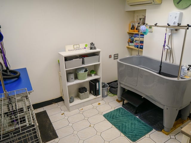 Inside the Transpawmation dog grooming salon in Jacksdale.