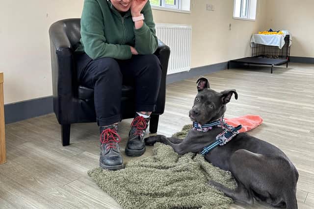 Beth and Bambi, Jerry Green Dog Rescue