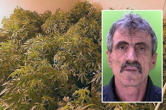 Naim Maloku was jailed after pleading guilty to growing cannabis. Photo: Nottinghamshire Police