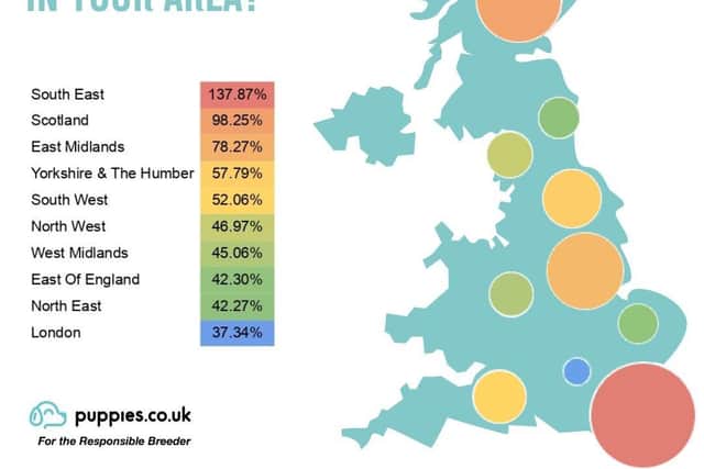 An map of dog ownership cost increases in the UK (Image: Puppies.co.uk)