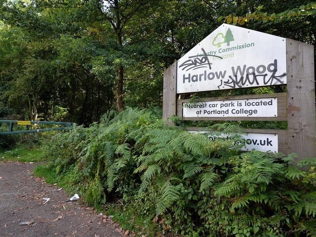 Mansfield's Harlow Wood is a popular destination for ramblers and dog-walkers. But it is also said to be haunted by Elizabeth Shepherd, a young girl who was murdered there in 1817 by Charles Rotherham as she walked from Papplewick. Legend has it that if you touch a memorial stone, placed in the woods, her ghost will appear.