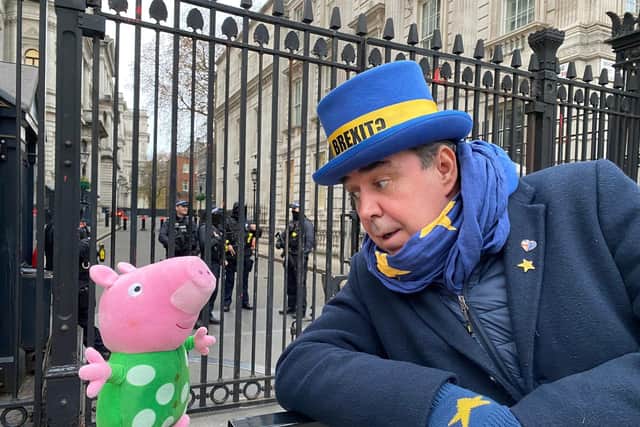Anti-Brexit campaigner Steve Bray