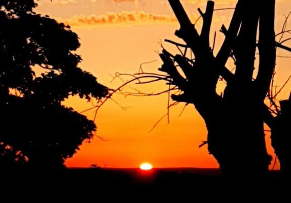 Stewart Podoski captured this stunning image of the sun setting behind the silhouette of woodland.