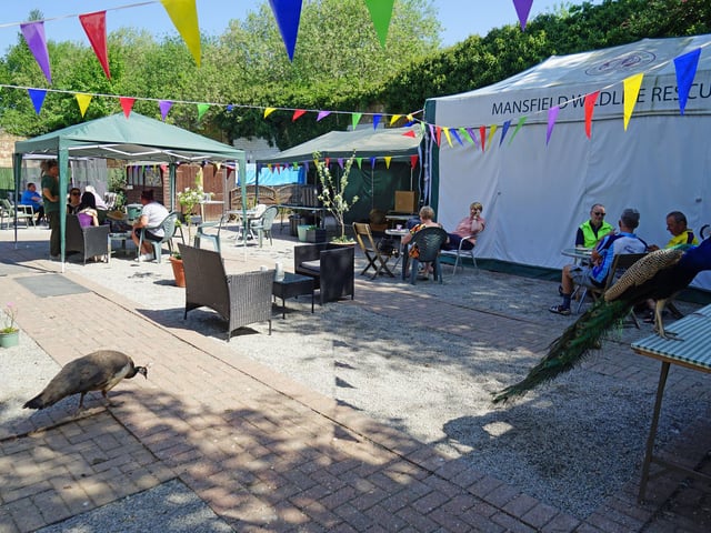 Customers have the option to sit outside and enjoy watching the world go by.