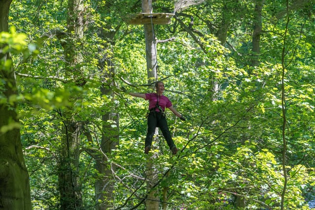 With limited numbers and group sizes you can once again climb through the trees.