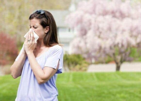 Hayfever and coronavirus share certain symptoms.