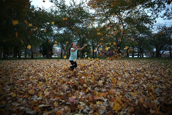 There will be many fallen leaves for the kids to enjoy at Hexthorpe Park this Autumn.