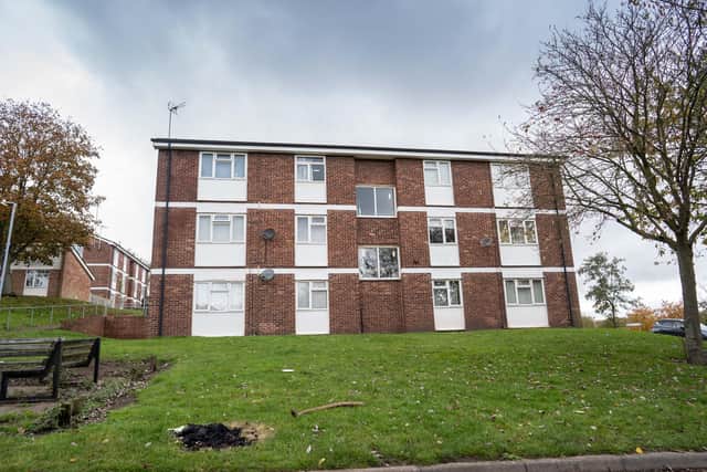 The block of flats where a dog attack took place in Mansfield. Credit: Tom Maddick
